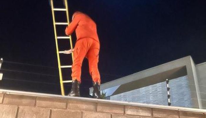 1c5389763c8f0200ecd0a878dfccc0e8