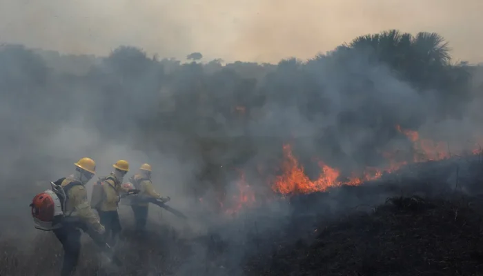 2022-08-31t111718z-1902994149-rc2m7w94eq5j-rtrmadp-3-brazil-environment-fires
