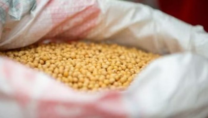 20649b027669ed4d64d920b195f0d8df