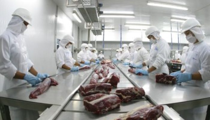 CARNE BOVINA MT