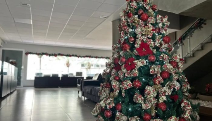 ARVORE DE NATAL