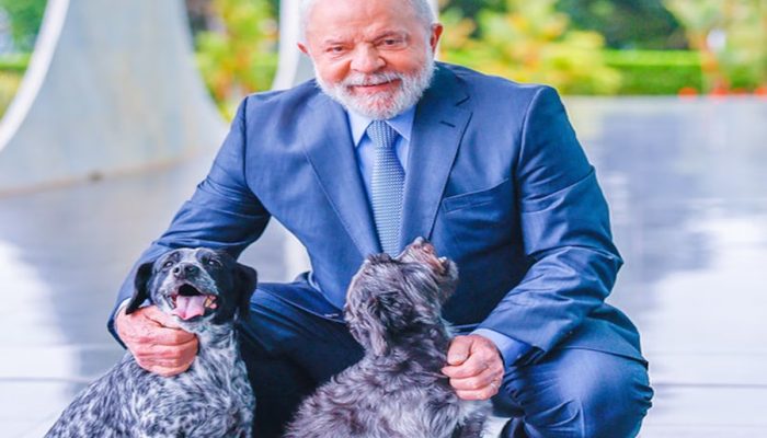 LULA-1