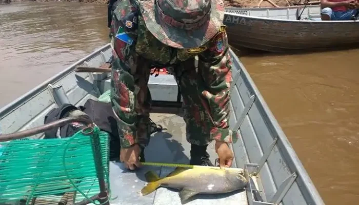 PIRACEMA