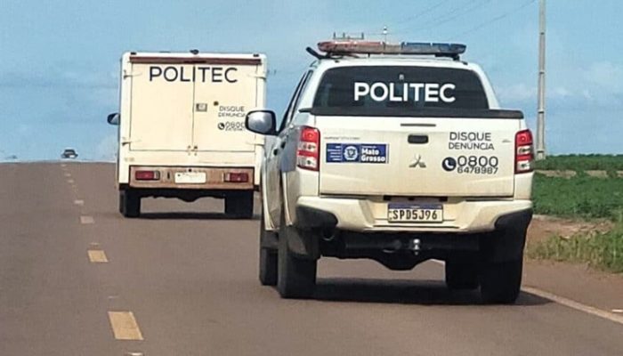 POLITEC