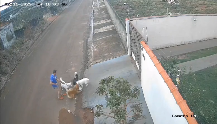 Sem título