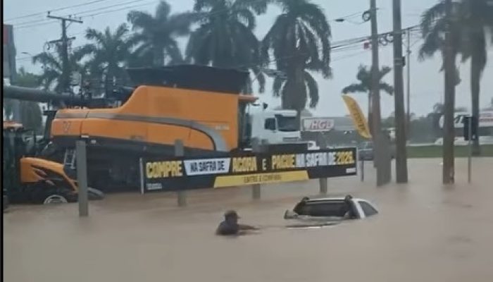 Sem-titulo-19