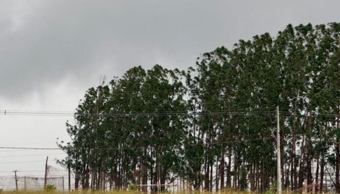 Sorriso-chuva-clima-nuvens-ceu-nublado-17-maio-2025-So-NoticiasLucas-Torres-696x424