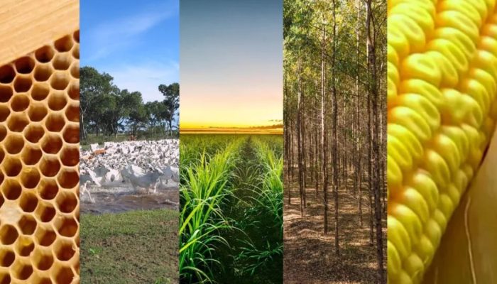 agro sustentatval