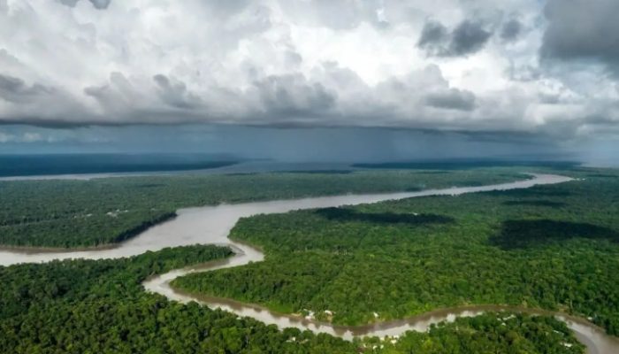 amazonia