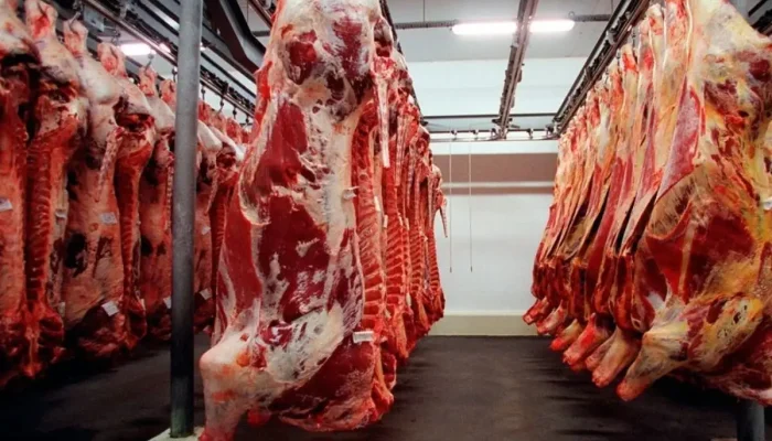 carne-bovina-frigorifico.jpg