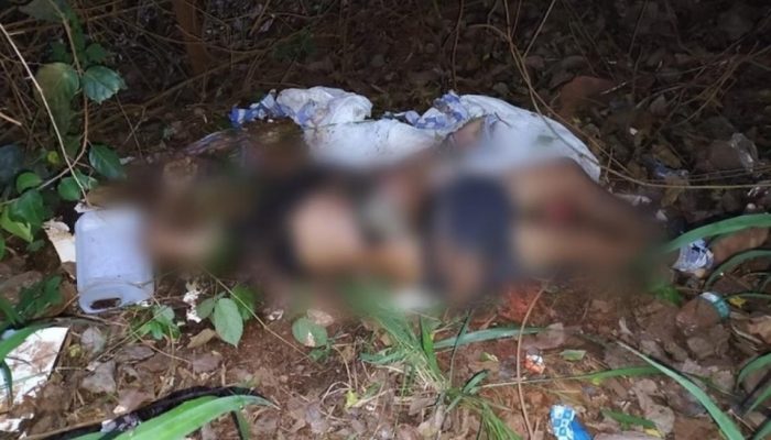 decapitado tangará CNNEWSMT.COM.BR