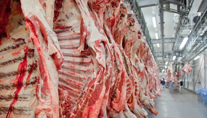 exportacao-carne-scaled