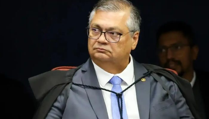 flavio dino
