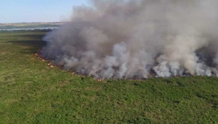 fogo destroi pantanla