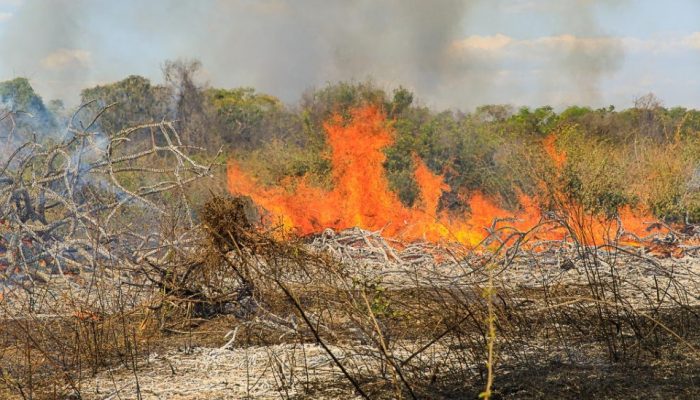 incendio_MEV_-2950