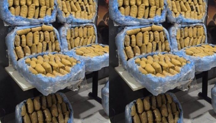 maconha