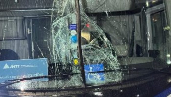 onibus