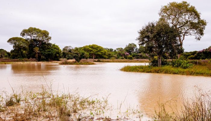 piracema