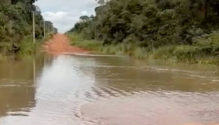 rioceleste