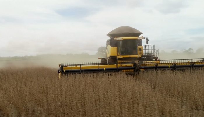 soja-100-anos-mais-agro