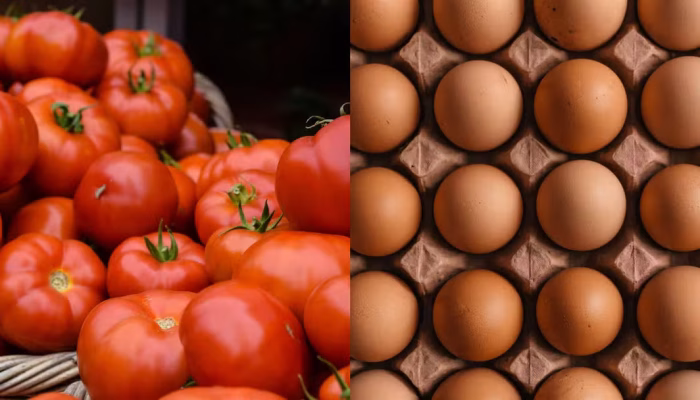 tomatoegss